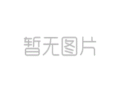 2010年公司年会策划方案